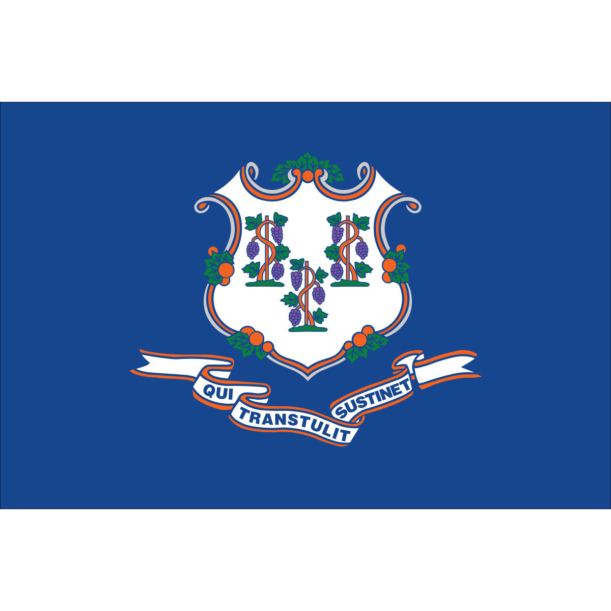 Connecticut Flags - Nylon
