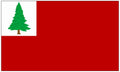 Continental Flag