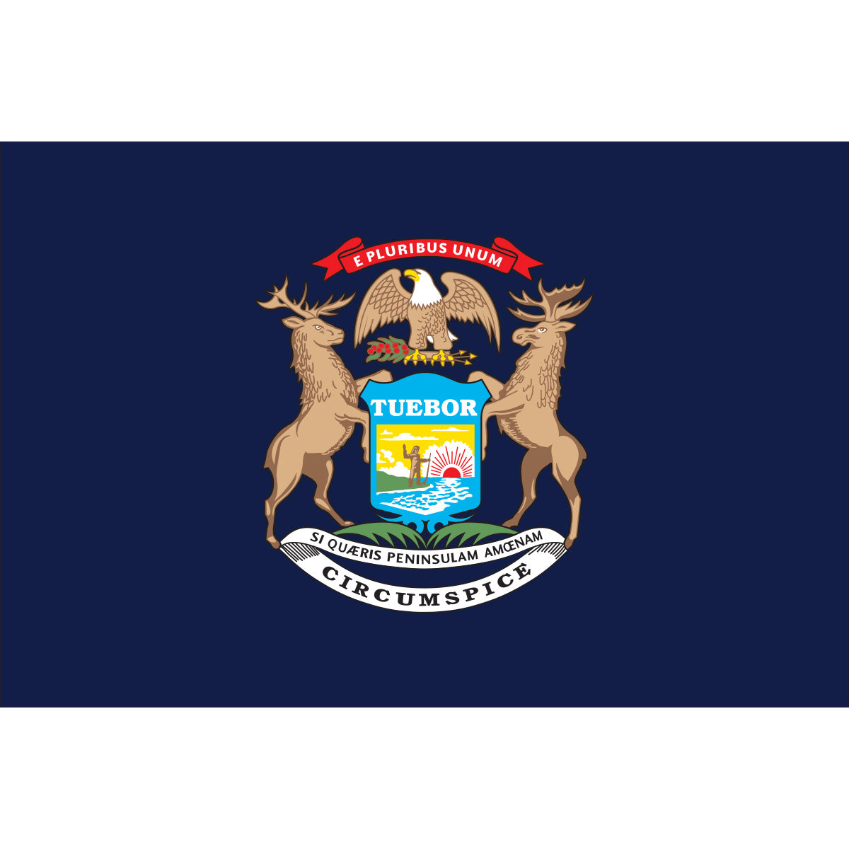 Michigan Flags - Nylon