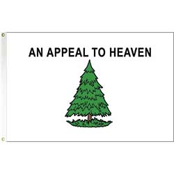Washington's Cruisers Flag